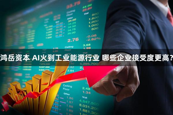 鸿岳资本 AI火到工业能源行业 哪些企业接受度更高？