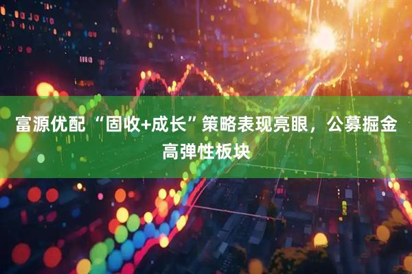 富源优配 “固收+成长”策略表现亮眼，公募掘金高弹性板块