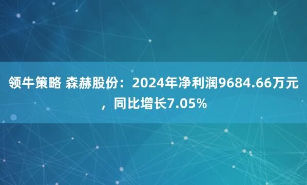 领牛策略 森赫股份：2024年净利润9684.66万元，同比增长7.05%